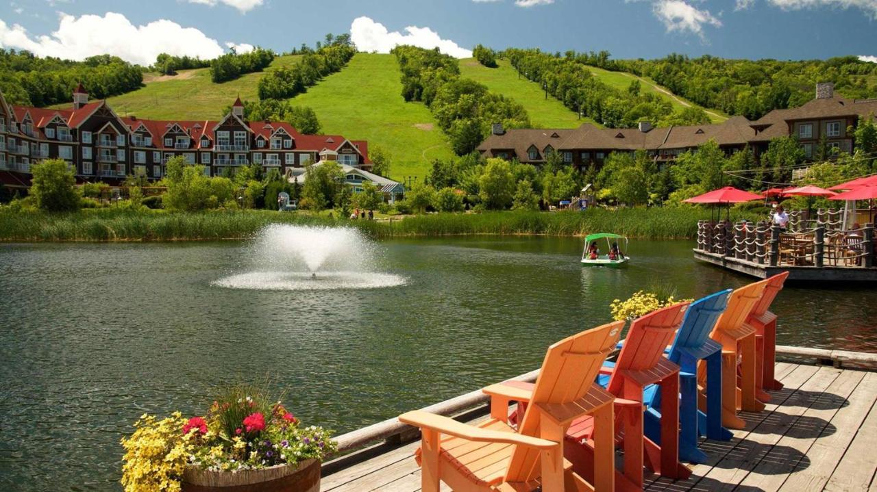 Blue Heart Mountain Studio Dream Walk To Slopes, Tennis Blue Mountains Zewnętrze zdjęcie
